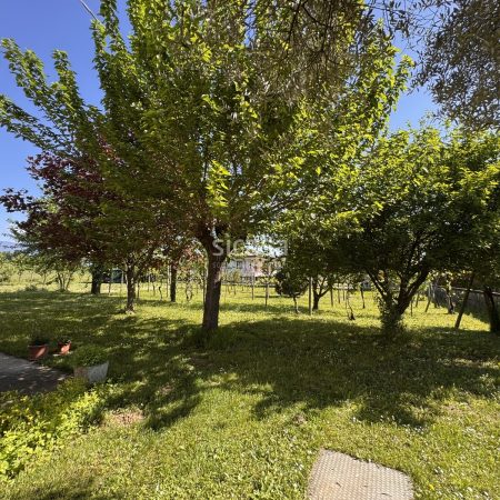 Abitazione in Vendita a Montecchio Precalcino - 120191500